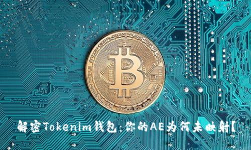 解密Tokenim钱包：你的AE为何未映射？