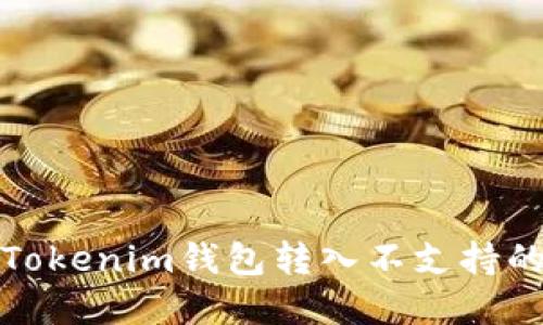 如何解决Tokenim钱包转入不支持的币种问题