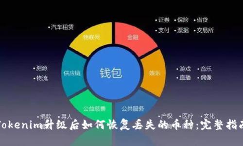 Tokenim升级后如何恢复丢失的币种：完整指南