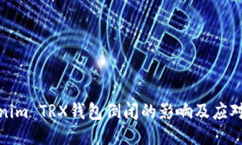 Tokenim TRX钱包倒闭的影响及应对策略