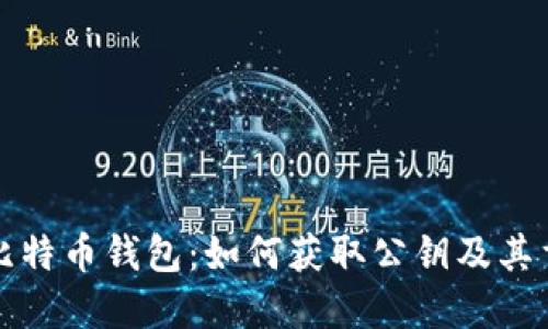 解密比特币钱包：如何获取公钥及其重要性